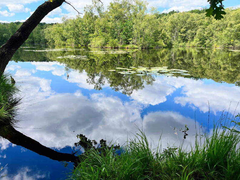 24-06-24 12-10-10 9832